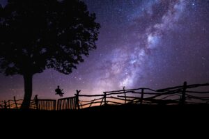 Person swinging on a swing that is attached to a tree under a star lit sky
