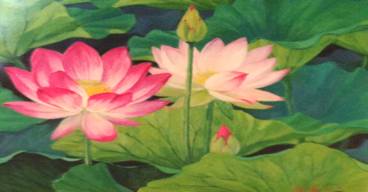 The Lotus Flower